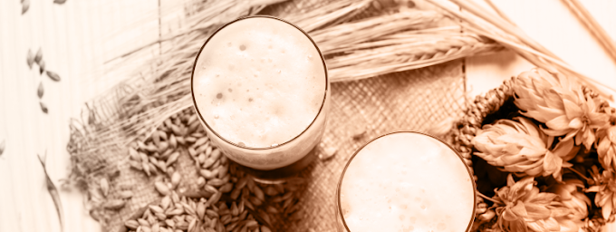 The image features a close-up view of two frothy beer glasses. They are placed on a rustic surface, surrounded by wheat stalks, barley, and fresh hops, which are used in brewing beer. The overall tone of the image is warm and sepia, evoking a cozy, natural atmosphere, possibly highlighting the ingredients and process of brewing craft beer.